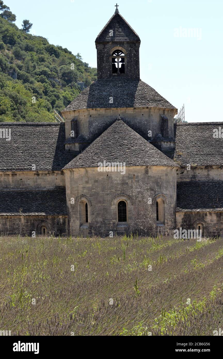 Abbaye Notre-Dame de Sénanque e campi di lavanda, Vancluse, sud della francia Foto Stock