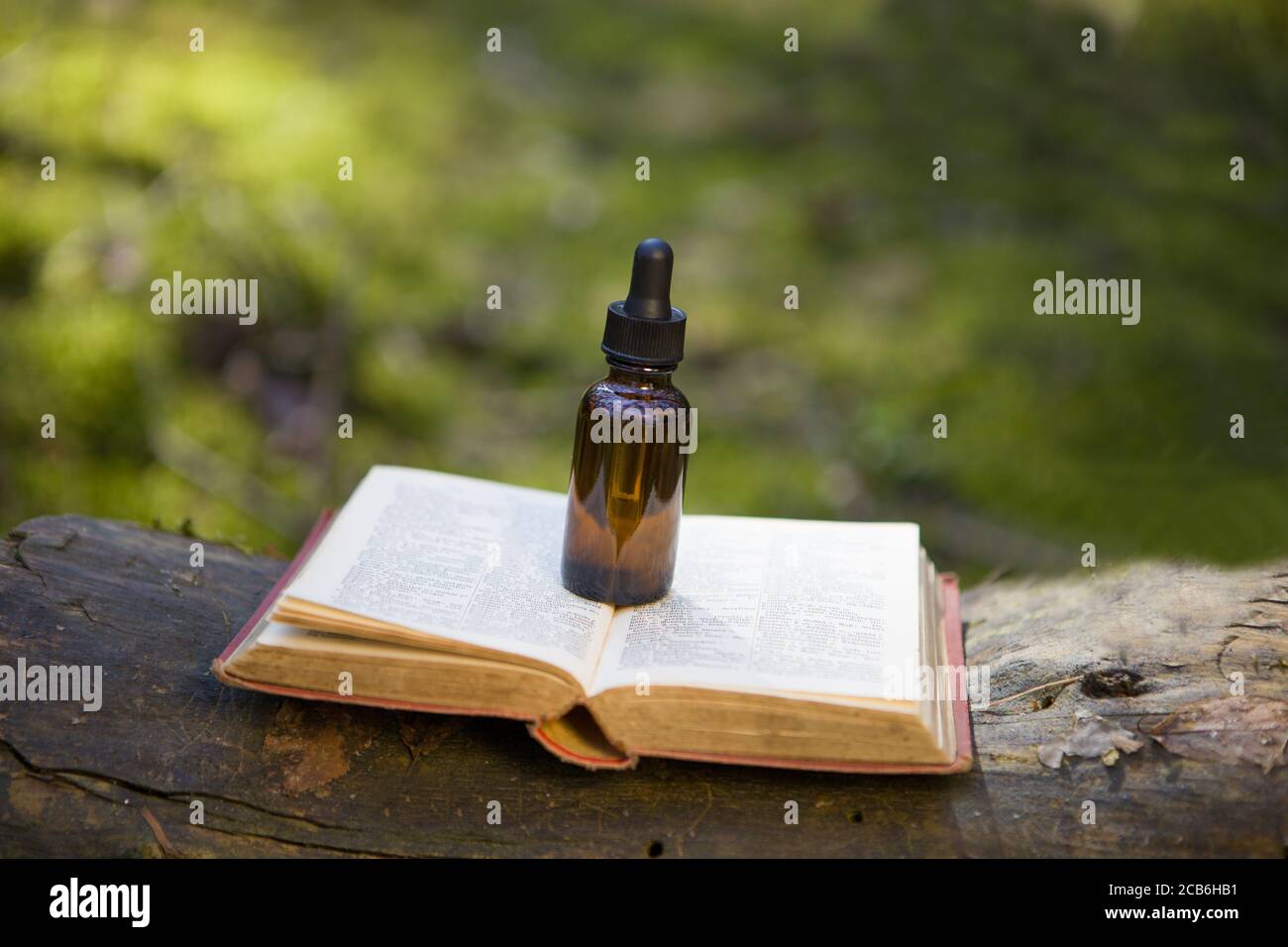 Bottiglie di tintura, erbe sane, pila di libri antichi. Medicina di erbe. Foto Stock