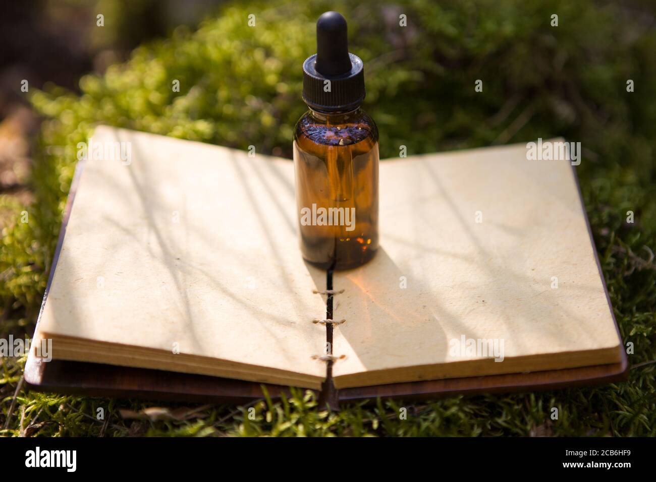 Bottiglie di olio essenziale, erbe medicinali, vecchio libro. Foto Stock