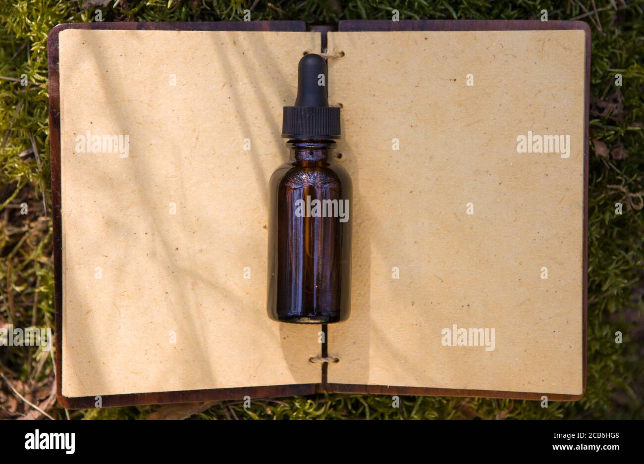 Bottiglie di oli essenziali, erbe medicinali, libro antico. Vista dall'alto. Foto Stock
