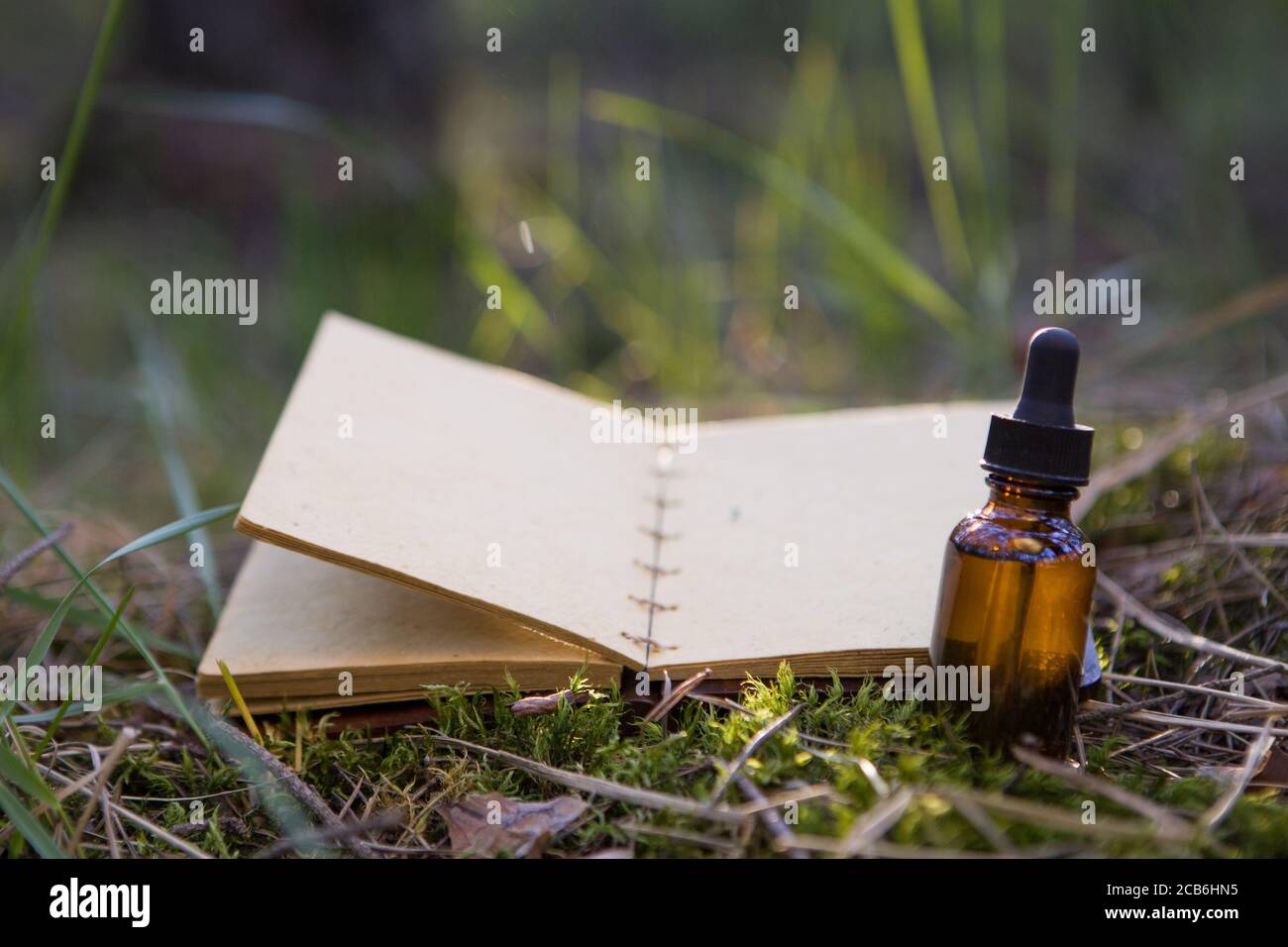 Vita morta d'epoca con libro aperto, erbe curative. Foto Stock