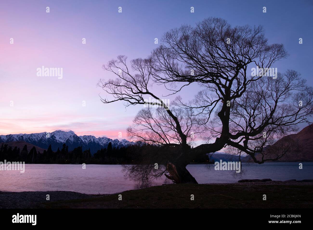 Salice invernale sul lago Wakatipu all'alba con i Remarkables in lontananza, Queenstown, Nuova Zelanda Foto Stock