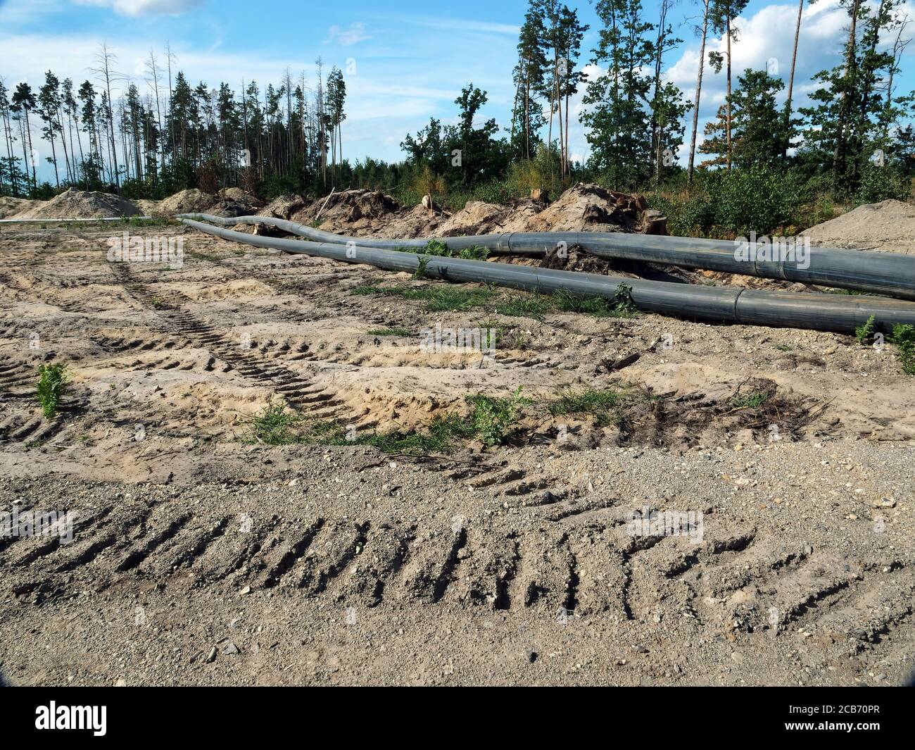 Deforestazione, distruzione ambientale. L'impatto dell'industria sull'ambiente, tubi posati nella foresta. Foto Stock