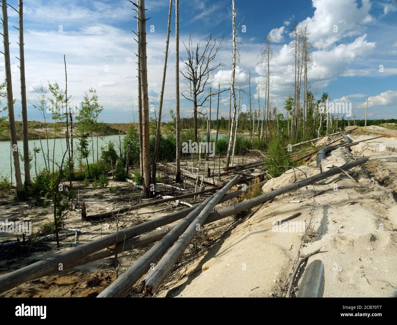 Deforestration. L'impatto dell'industria estrattiva sull'ambiente. Legno e tubi distrutti. Foto Stock