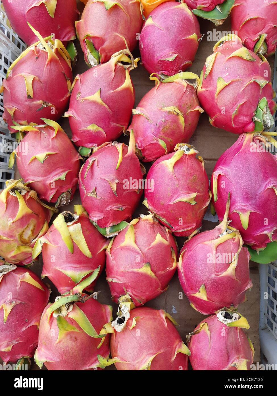 Frutti di drago (Pitayas) in esposizione al mercato locale. Cuenca, Ecuador. Foto Stock