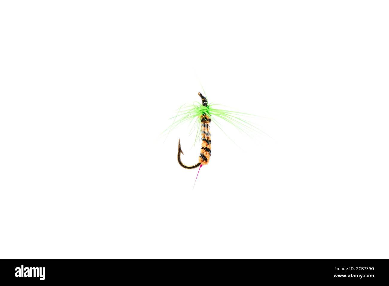 Primo piano di una pesca colorata volare su uno sfondo bianco. Foto Stock