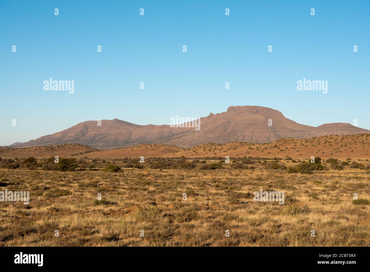 Vista su terreni agricoli con la montagna sullo sfondo nel Big karoo del Sud Africa nel Capo Occidentale Foto Stock