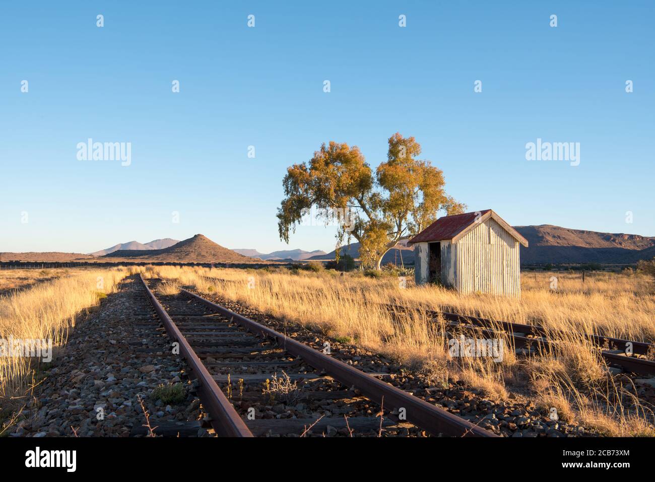 Rifugio desertato della stazione ferroviaria con linea ferroviaria e vegetazione naturale Con grande albero di eucalipto con erba secca in piedi dappertutto Foto Stock