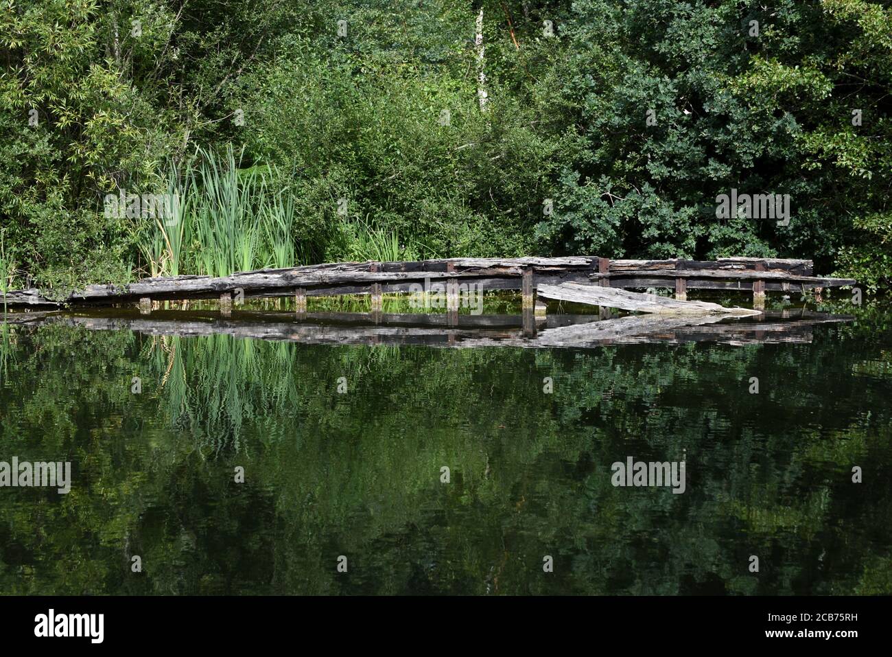 I resti di una vecchia barca canale si riflettono in Le acque ancora del bellissimo canale di Basingstoke vicino a Mychett In Surrey Foto Stock