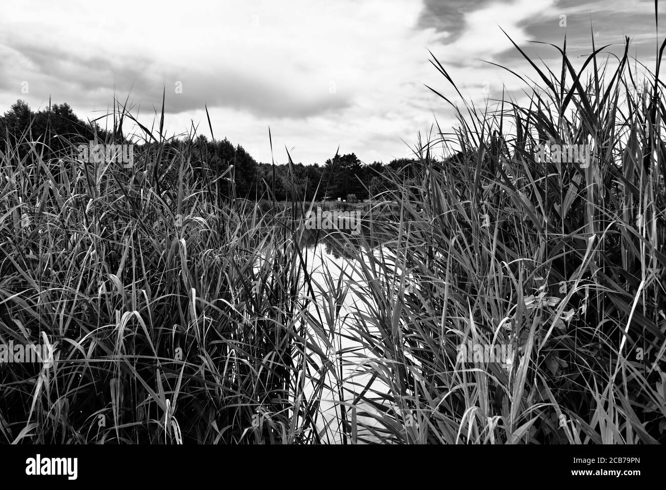 Paesaggio naturale. Aspetto artistico in bianco e nero. Bellissima vista panoramica sul lago di Lysy Mlyn, Polonia. Foto Stock