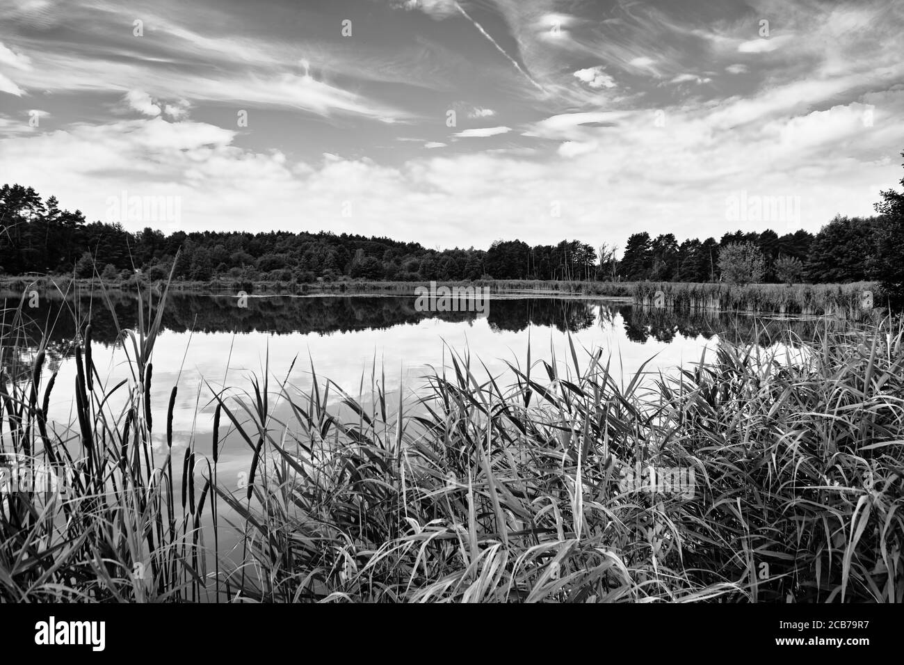 Bellissima vista panoramica sul lago di Lysy Mlyn, Polonia. Foto Stock