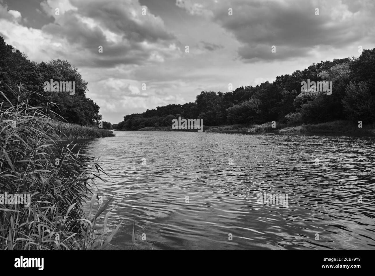 Bellissima vista sulla natura sul fiume Warta. Polonia. Foto Stock
