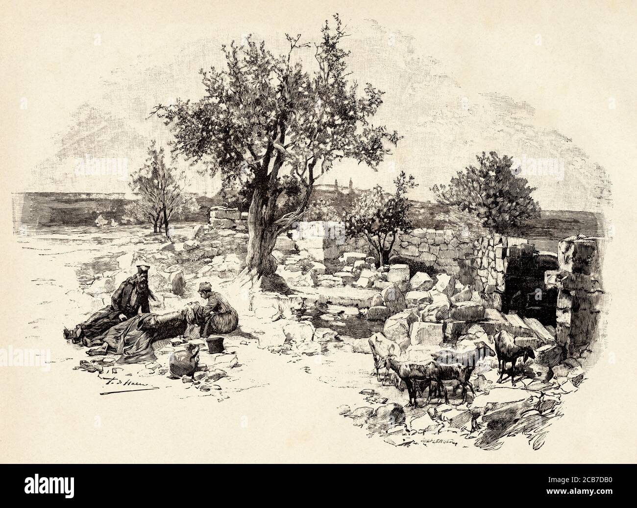 Campo dei pastori, dove i pastori osservavano i loro greggi di notte e gli angeli apparvero loro con l'annuncio della nascita di Gesù. Betlemme, Israele. Antico XIX secolo inciso illustrazione da la Ilustracion Española y americana 1894 Foto Stock