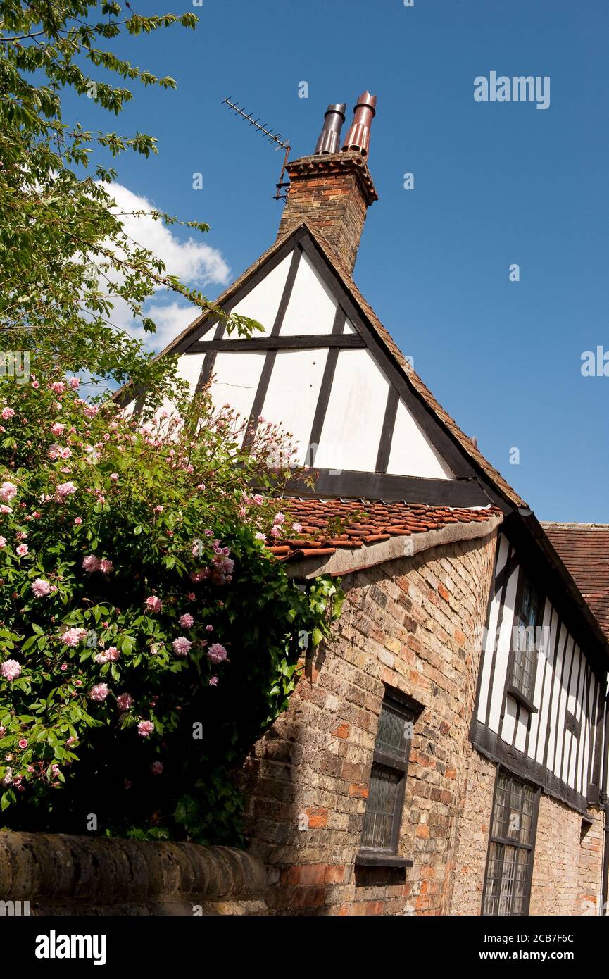 Edificio in legno bianco e nero nella città cattedrale di Ely, Cambridgeshire, Inghilterra. Foto Stock