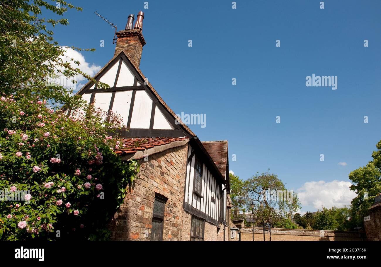 Edificio in legno bianco e nero nella città cattedrale di Ely, Cambridgeshire, Inghilterra. Foto Stock