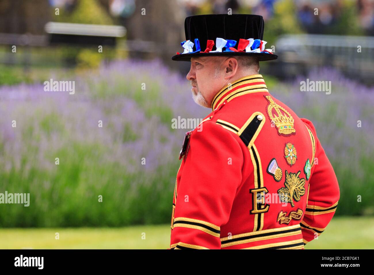 Un guerriere di yeoman, comunemente noto come Beefeater, alla Torre di Londra, in uniforme cerimoniale durante il saluto delle armi, Londra, Inghilterra Foto Stock