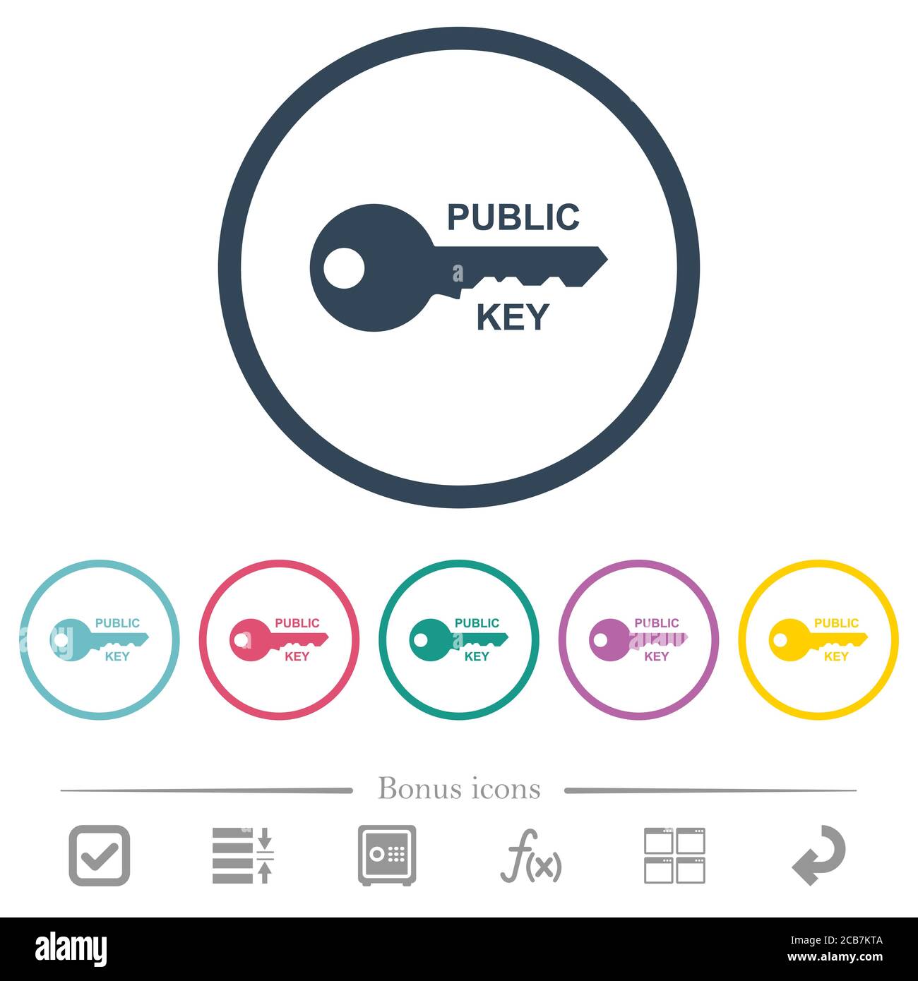 Icone a colori piatte con chiave pubblica in contorni rotondi. 6 icone bonus incluse. Illustrazione Vettoriale
