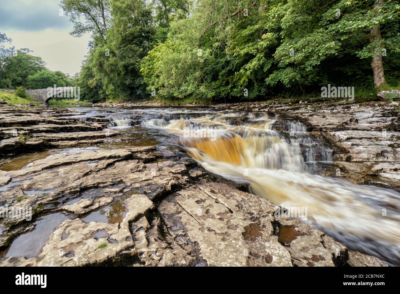 Stainforth Force è una serie di piscine fluviali e cascate che si trovano sotto un vecchio ponte a cavallo. Banche erbose e buon paddling. Un calderone profondo in cui Foto Stock