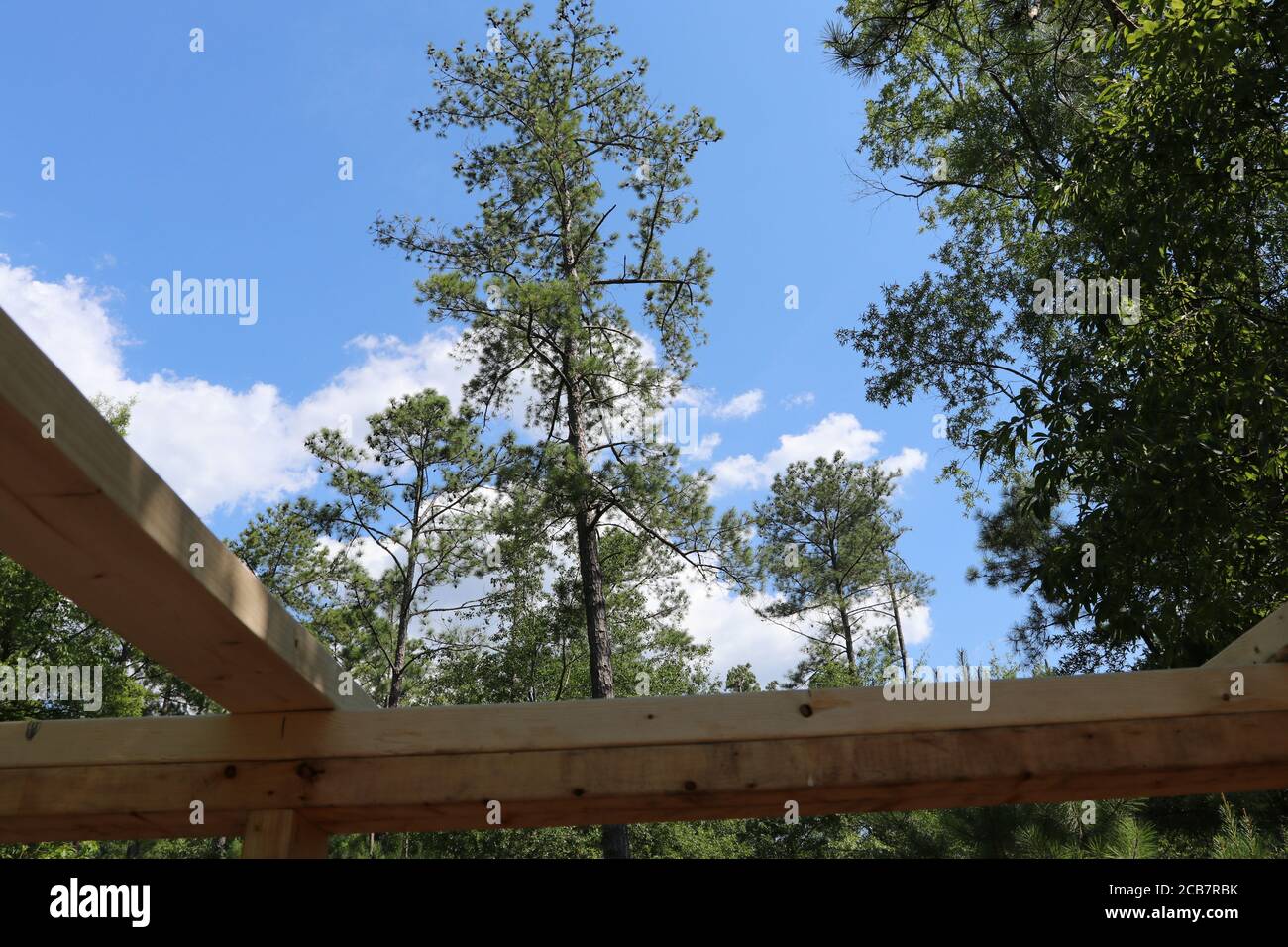 Costruzione di una nuova cabina nel bosco. Foto Stock