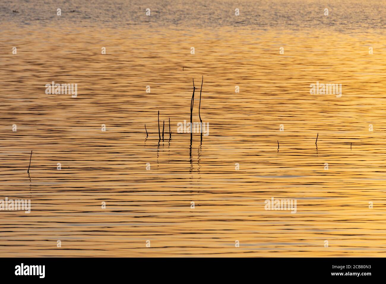 Riflessi dorati nelle onde di un lago al tramonto Foto Stock