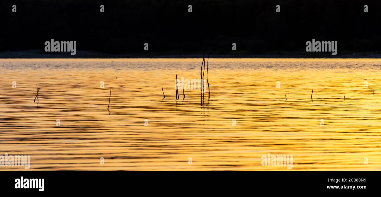 Riflessi dorati nelle onde di un lago al tramonto Foto Stock