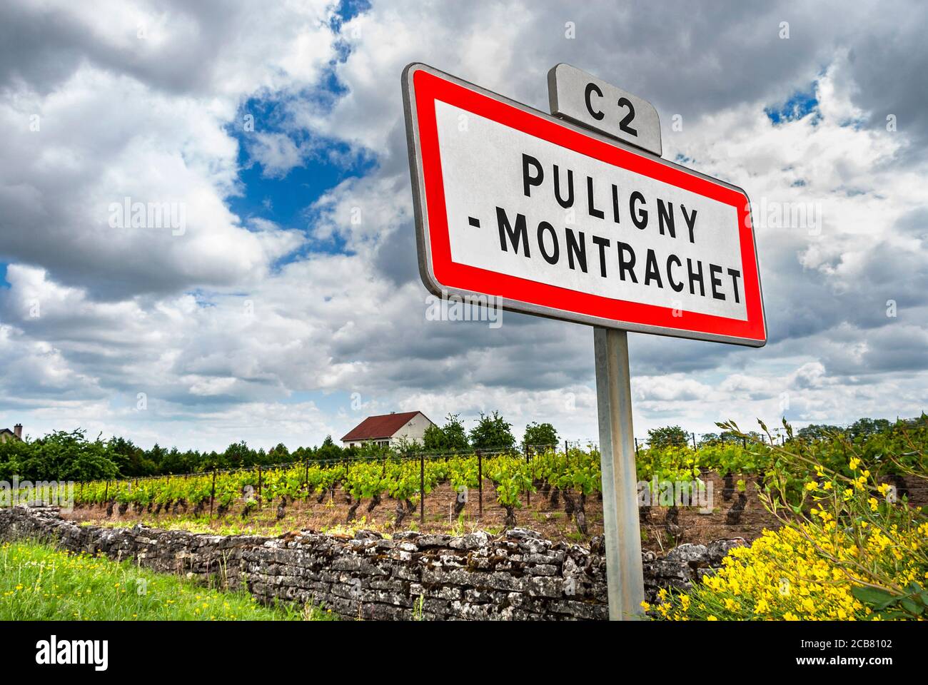 Puligny Montrachet cartello stradale sulla C2 Route des Grands Crus Puligny Montrachet, tipico ambiente primavera micro clima misto, Borgogna Cote d'Or Francia Foto Stock