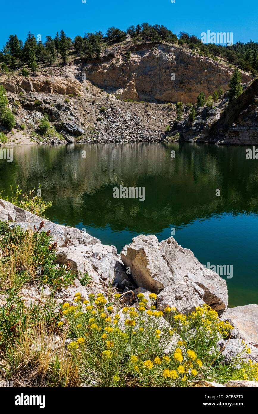 Hymenopappus filifolius; Asteraceae; Famiglia di girasole; Maiden polveroso; fiori selvatici in fiore, cava di marmo Gulch; Ute Trail; CR 184; vicino Turret; Colora Foto Stock