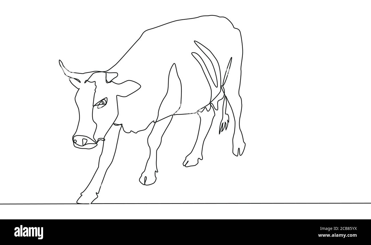 pix Disegno Di Una Mucca https www alamy it linea continua una mucca bella e in piedi disegno di una linea sottile nera su sfondo bianco image368359262 html