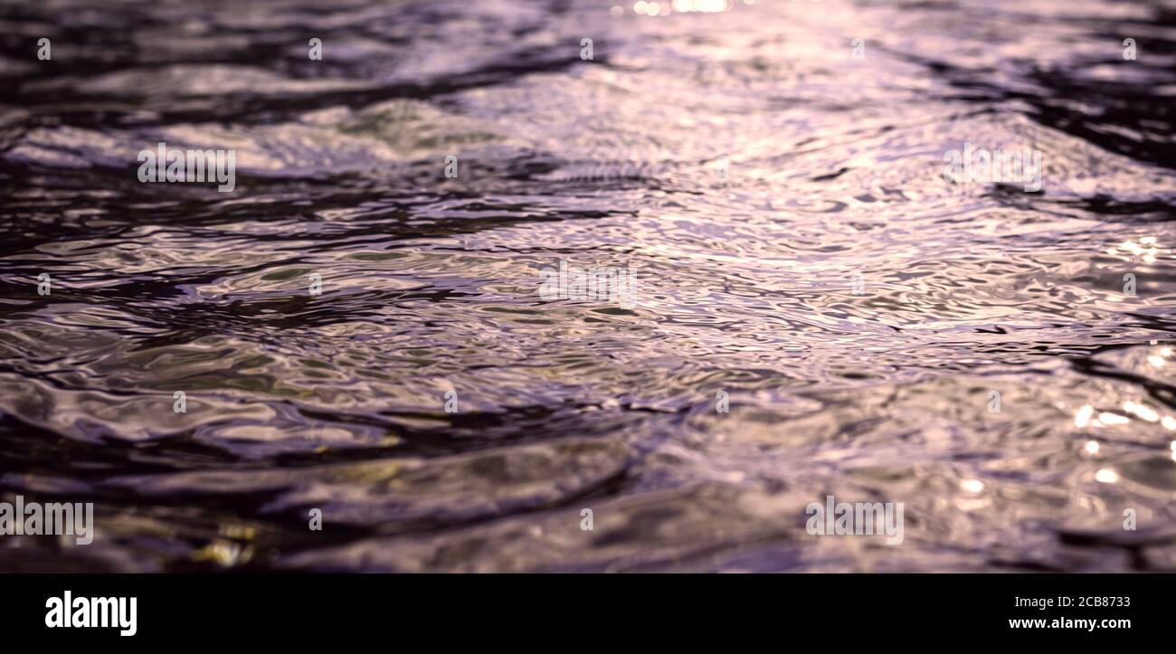 Riflessi violetti sulla superficie dell'acqua, movimenti di luce sulle onde. Immagine di sfondo perfetta. Bellissimo modello Foto Stock