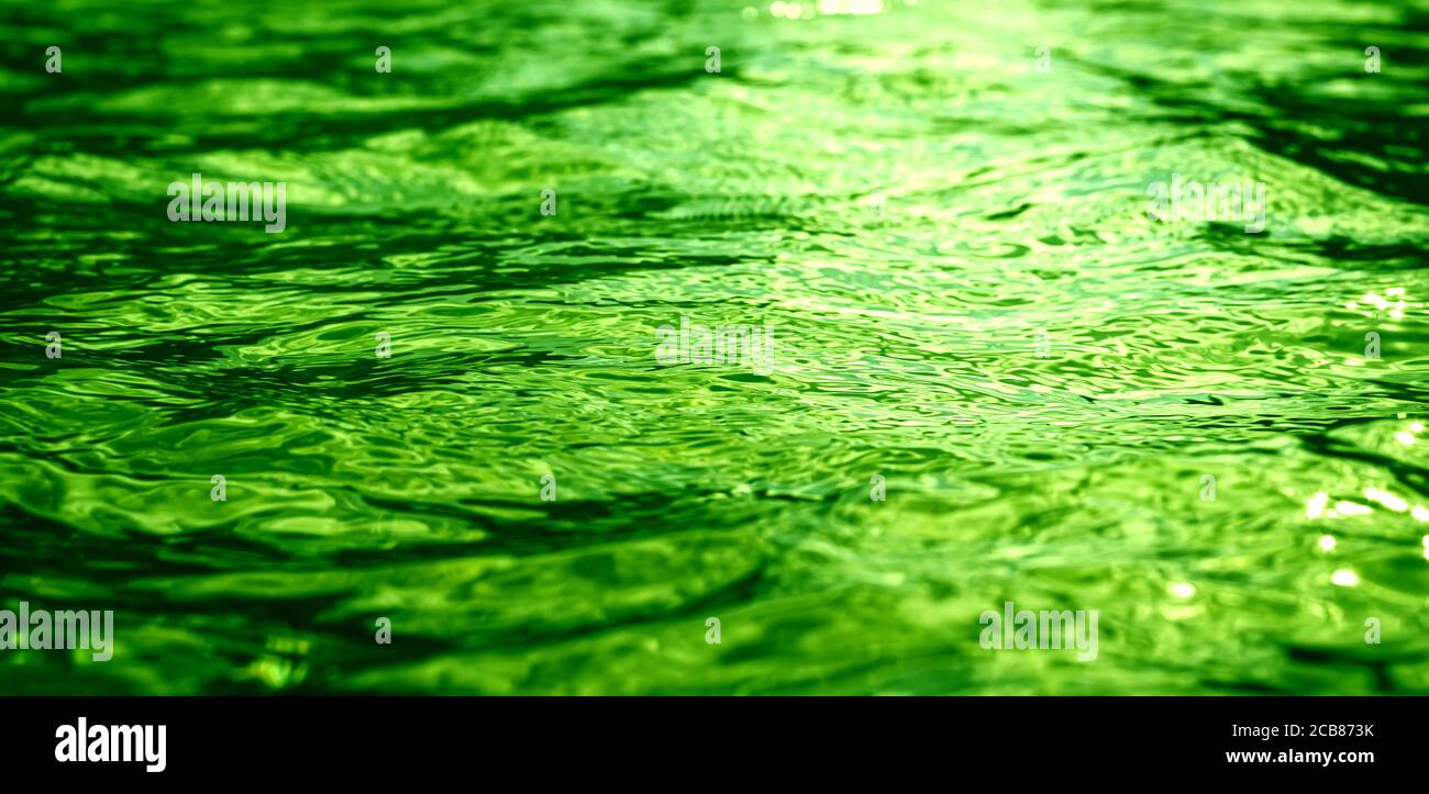 Riflessi verdi sulla superficie dell'acqua, movimenti di luce sulle onde. Immagine di sfondo perfetta. Bellissimo modello Foto Stock