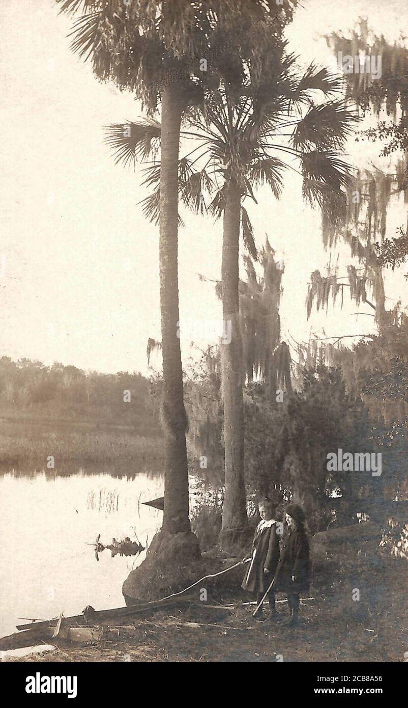 Due ragazze si levano sul bordo dell'acqua di una palude con le palme sullo sfondo. Foto Stock
