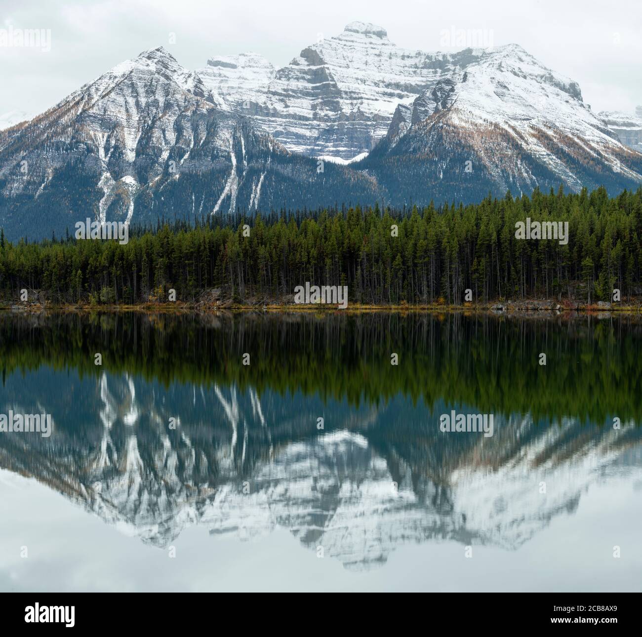 Montagne con neve fresca riflessa in Herbert Lake, Banff National Park, Alberta, Canada Foto Stock