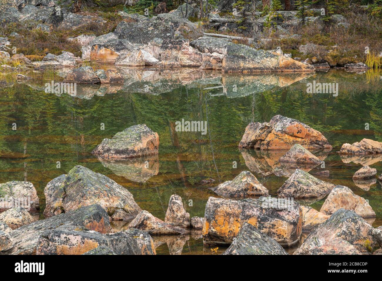 Massi ricoperti di lichene in uno scivolo di roccia, Jasper National Park, Alberta, Canada Foto Stock