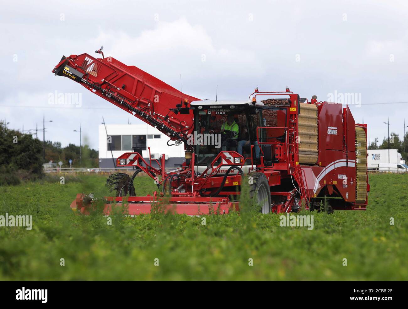James Hughes raccolta di patate per agricoltore, Ivan Curran a Stamullen, Co. Meath, Irlanda. Foto Stock