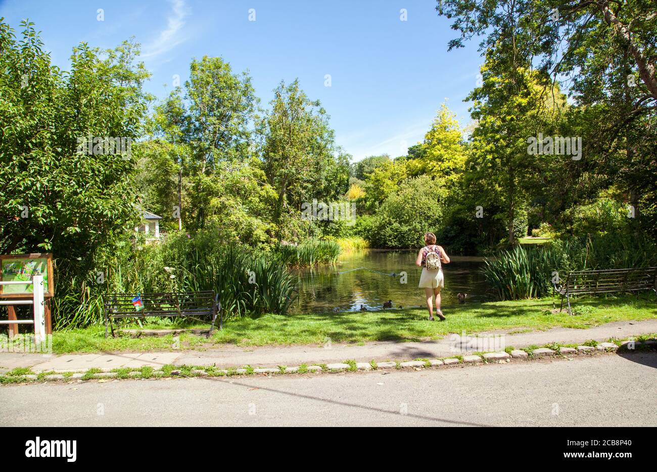 Donna in piedi presso lo stagno del villaggio nelle colline Chiltern Villaggio di Ewelme Oxfordshire Inghilterra Foto Stock