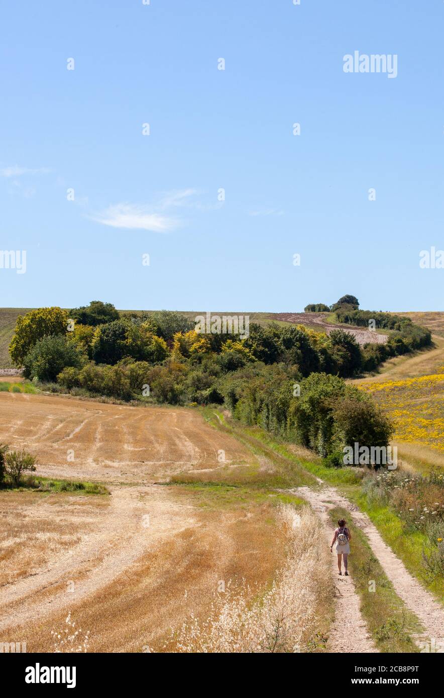 Persone che camminano a Ewelme Oxfordshire sul Chiltern lungo la strada Distanza sentiero nel Chilterns Inghilterra UK Foto Stock