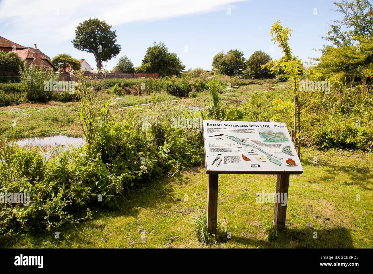 La riserva naturale dei letti d'acqua nel villaggio di Oxfordshire Di Ewelme Foto Stock