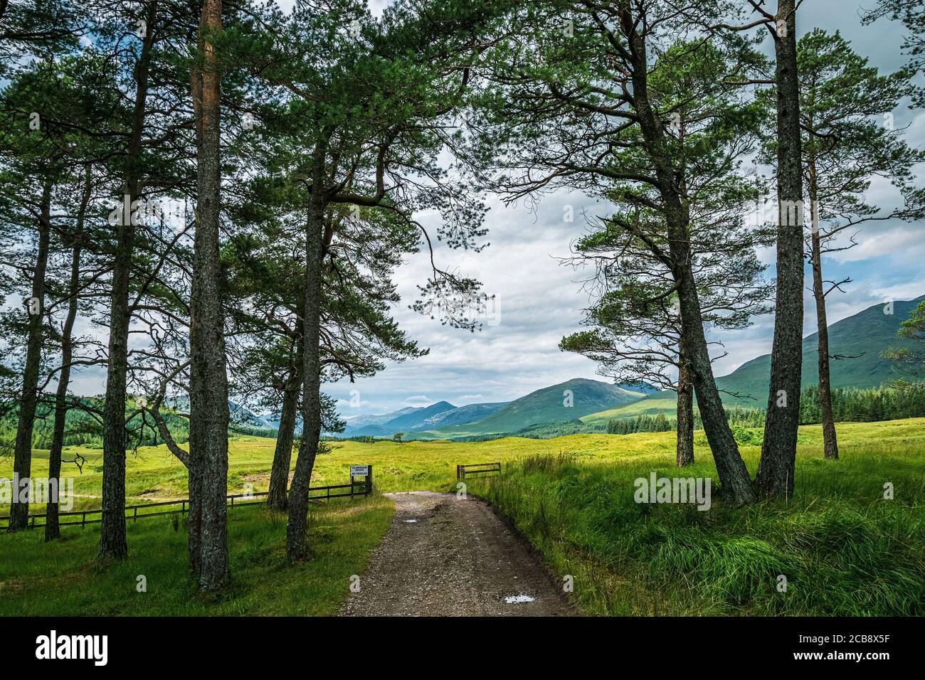 Titolo strada che conduce in una pittoresca valle verde nelle Highlands scozzesi vicino al Ponte di Orchy. Foto Stock