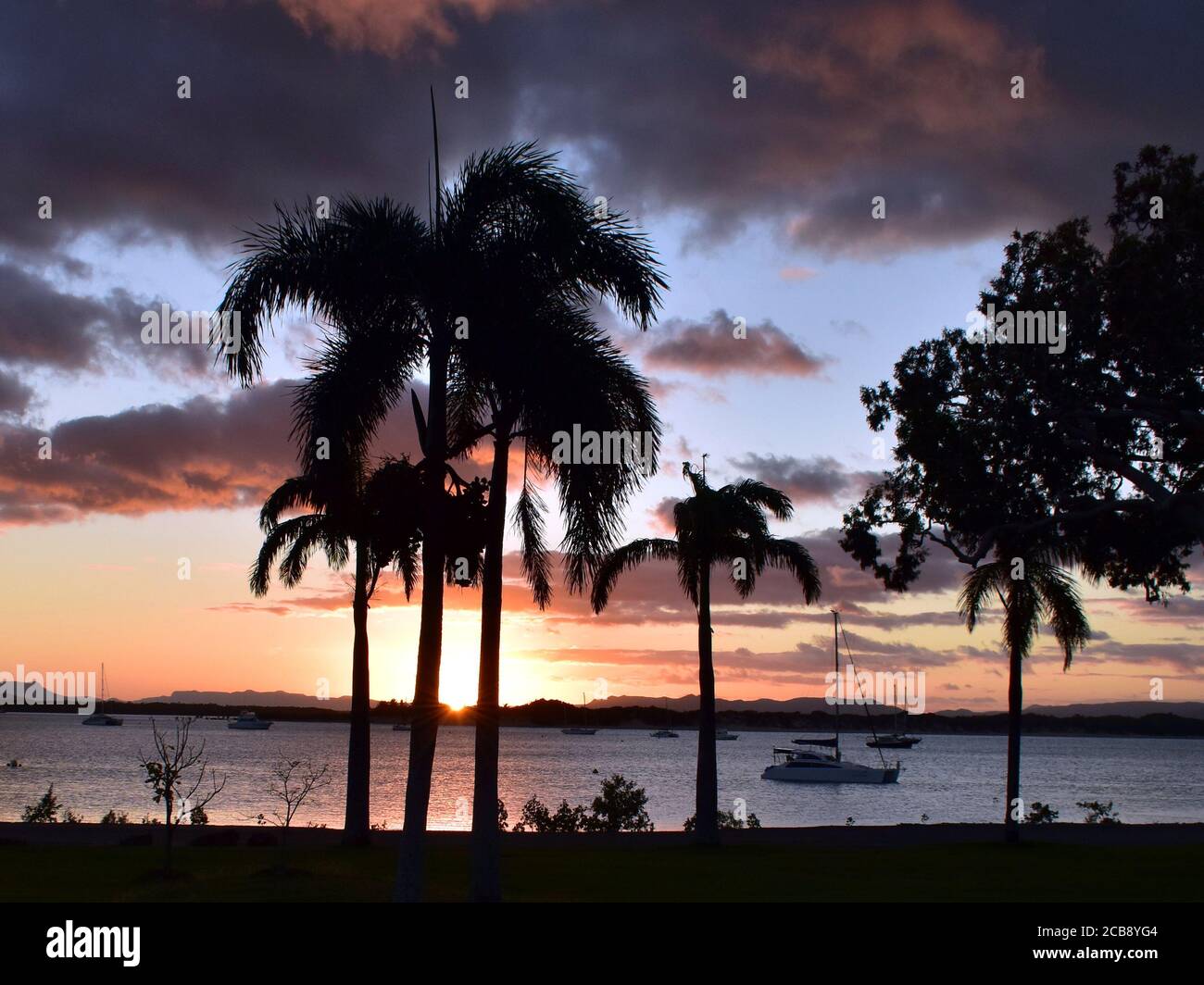 Un tramonto a Cooktown nel Queensland tropicale del Nord come visto attraverso le palme Foto Stock