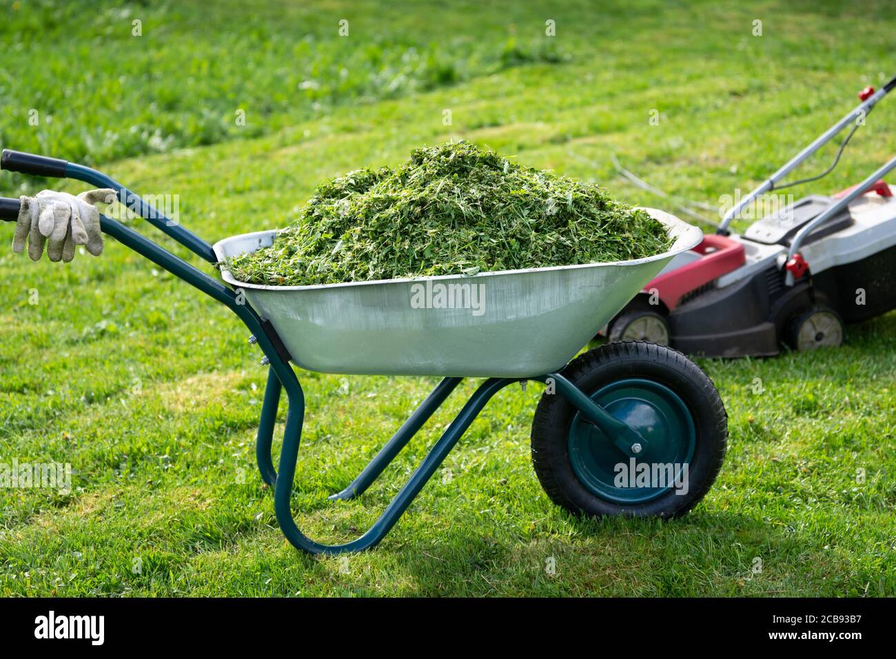 Carriola piena di erba tagliata e rasaerba in piedi sul prato falciato Foto Stock