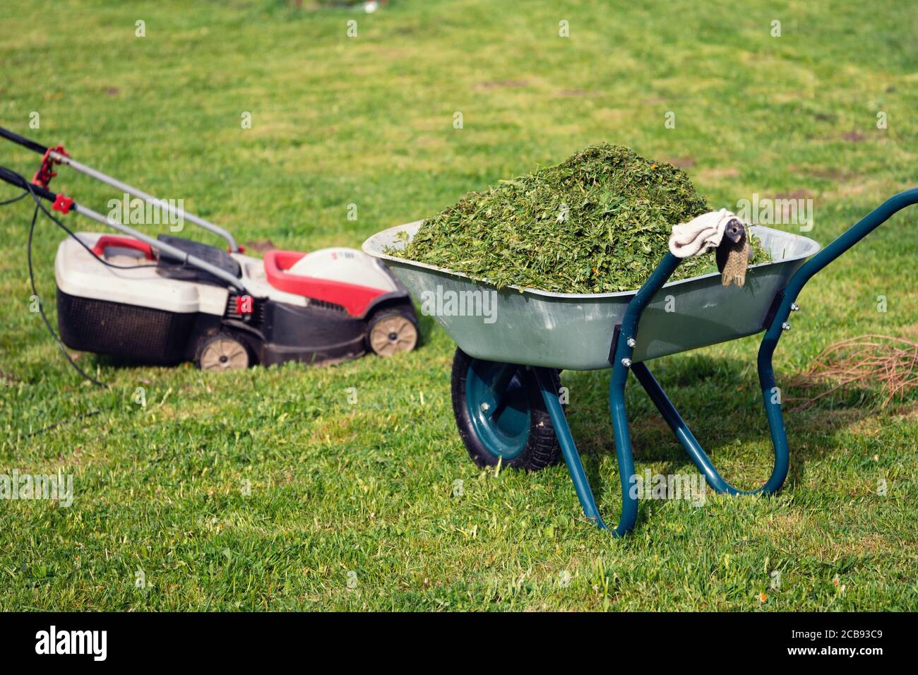 Carriola piena di erba tagliata e rasaerba in piedi sul prato falciato Foto Stock