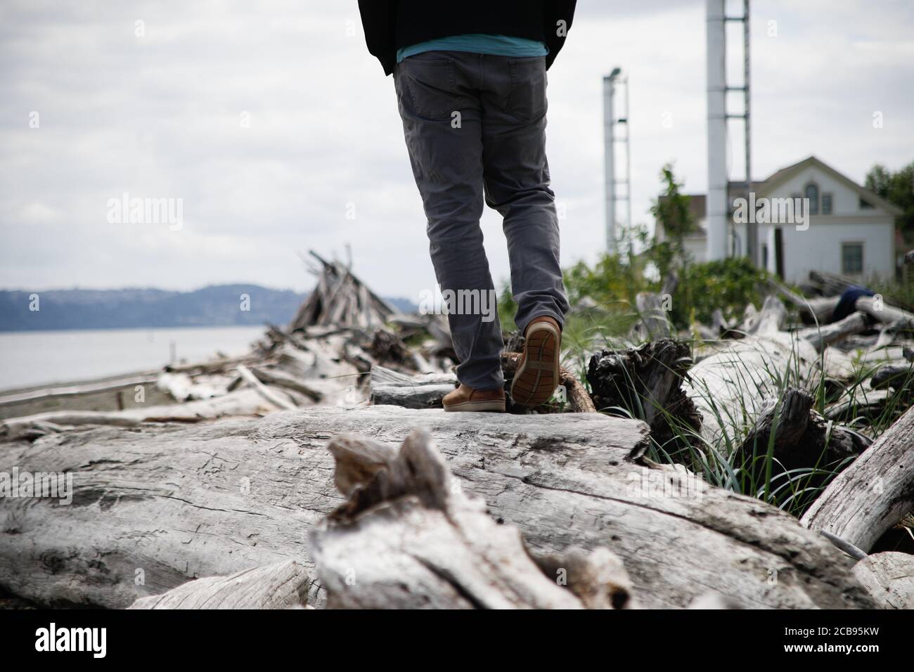 Uomo che cammina sul driftwood sull'isola di Vashon, Seattle Foto Stock