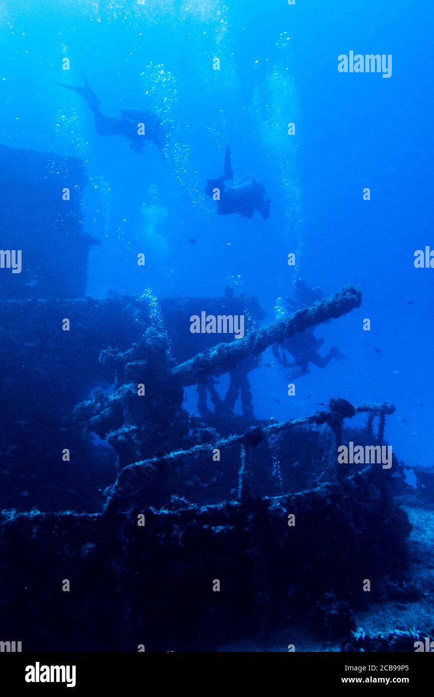 Subacquei che interagiscono con la fauna selvatica nella barriera corallina dei caraibi messicani, Riviera Maya. Messico. Foto Stock