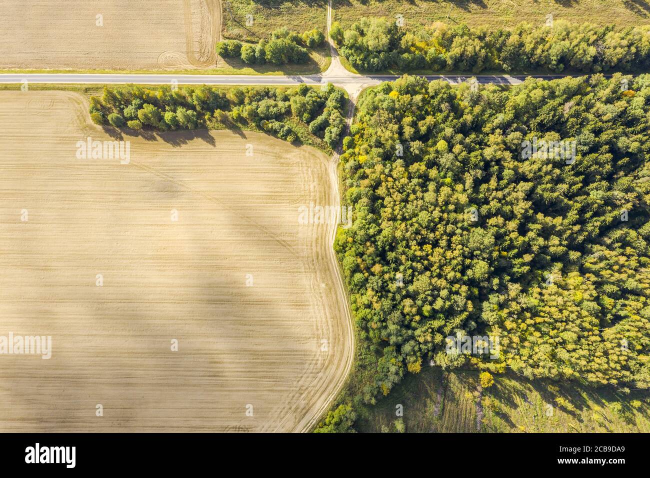 vista aerea dall'alto della strada di campagna attraverso la verde foresta estiva e campi. paesaggio agricolo Foto Stock