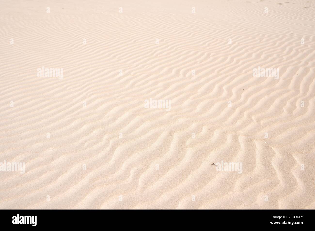 Sabbia dorata nella duna, sfondo di sabbia nel deserto Foto Stock