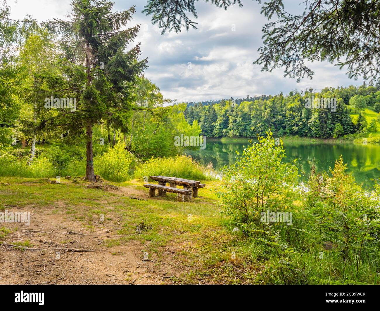 Vista fantastica Foresta verde bella bella natura preservata naturale Ambiente stagione primaverile nel lago Mrzla votica in Croazia Europa Foto Stock