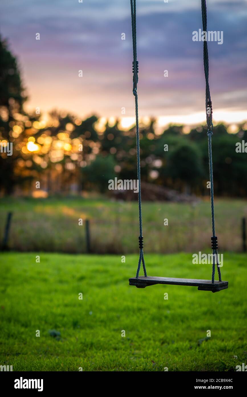 Legno nostalgico e corda Swing in un giardino rurale con Prato e Foresta al tramonto in background Foto Stock