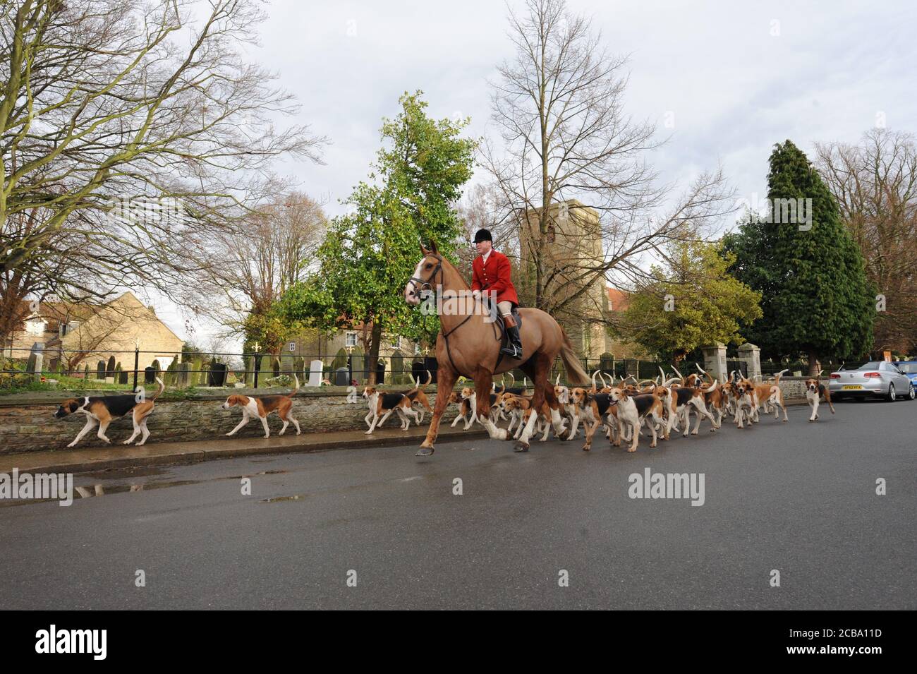 Belvoir Hunt Huntsman John Holliday con i Belvoir Foxhounds passando la chiesa del villaggio di Osbournby nel Lincolnshire Regno Unito Foxhounds inglesi antichi Foto Stock
