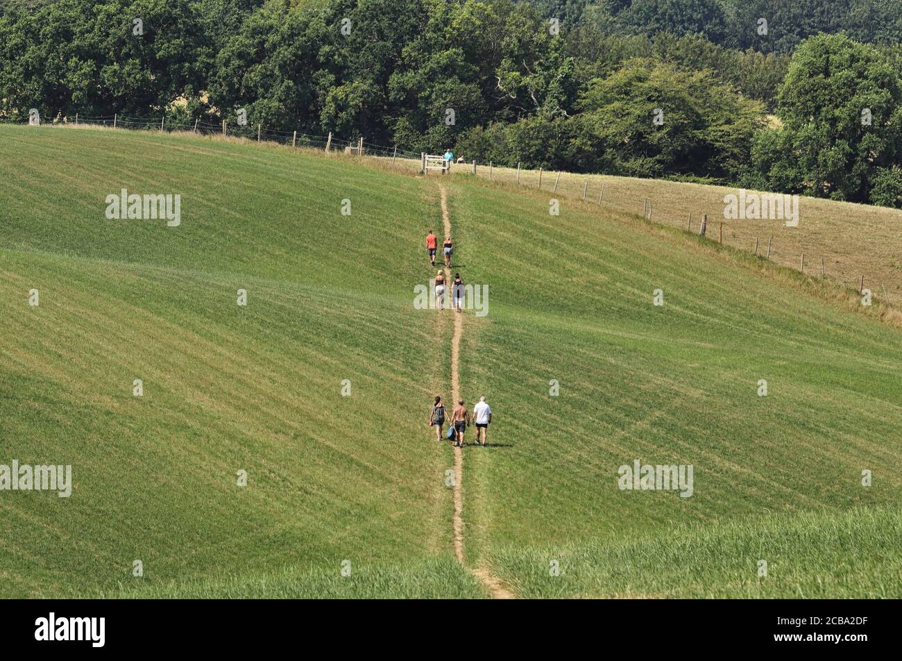 Hilers su un sentiero pubblico sulla via Chiltern Inghilterra Foto Stock
