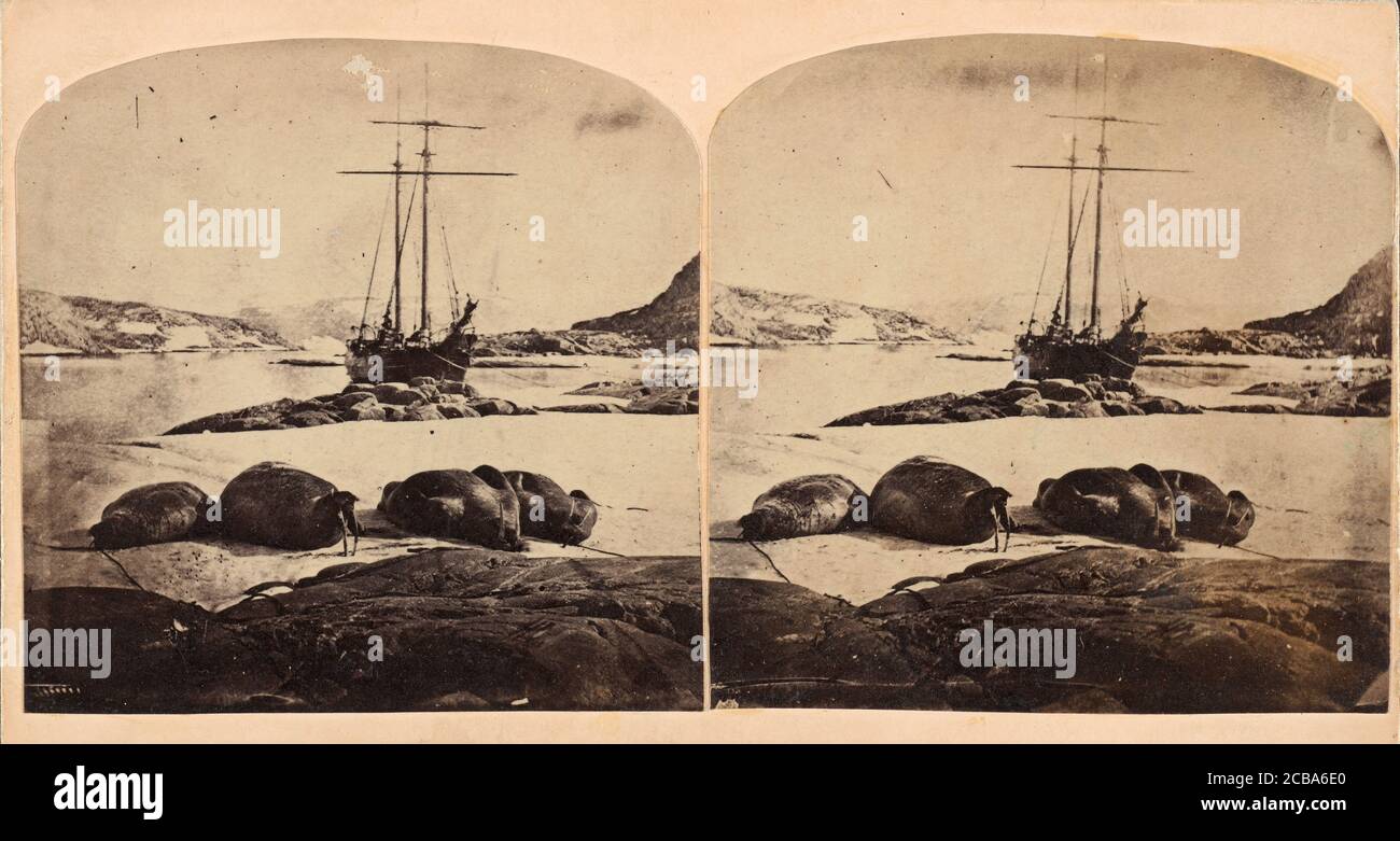 SC& xe8;ne de la mer glacial, ca. 1859. Foto Stock